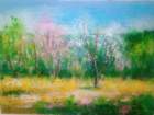 gianfrancomotton2003mandorliinfiorecm30x40orig_small.jpg